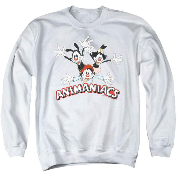 Animaniacs Animaniacs Trio Sweatshirt