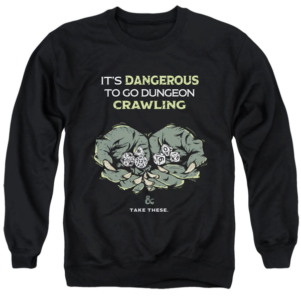 Dungeons & Dragons Dangerous To Go Alone Sweatshirt