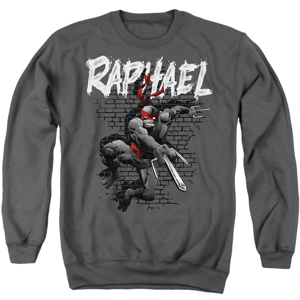 Teenage Mutant Ninja Turtles TMNT Raphael Sweatshirt