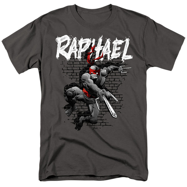 Teenage Mutant Ninja Turtles TMNT Raphael T-Shirt