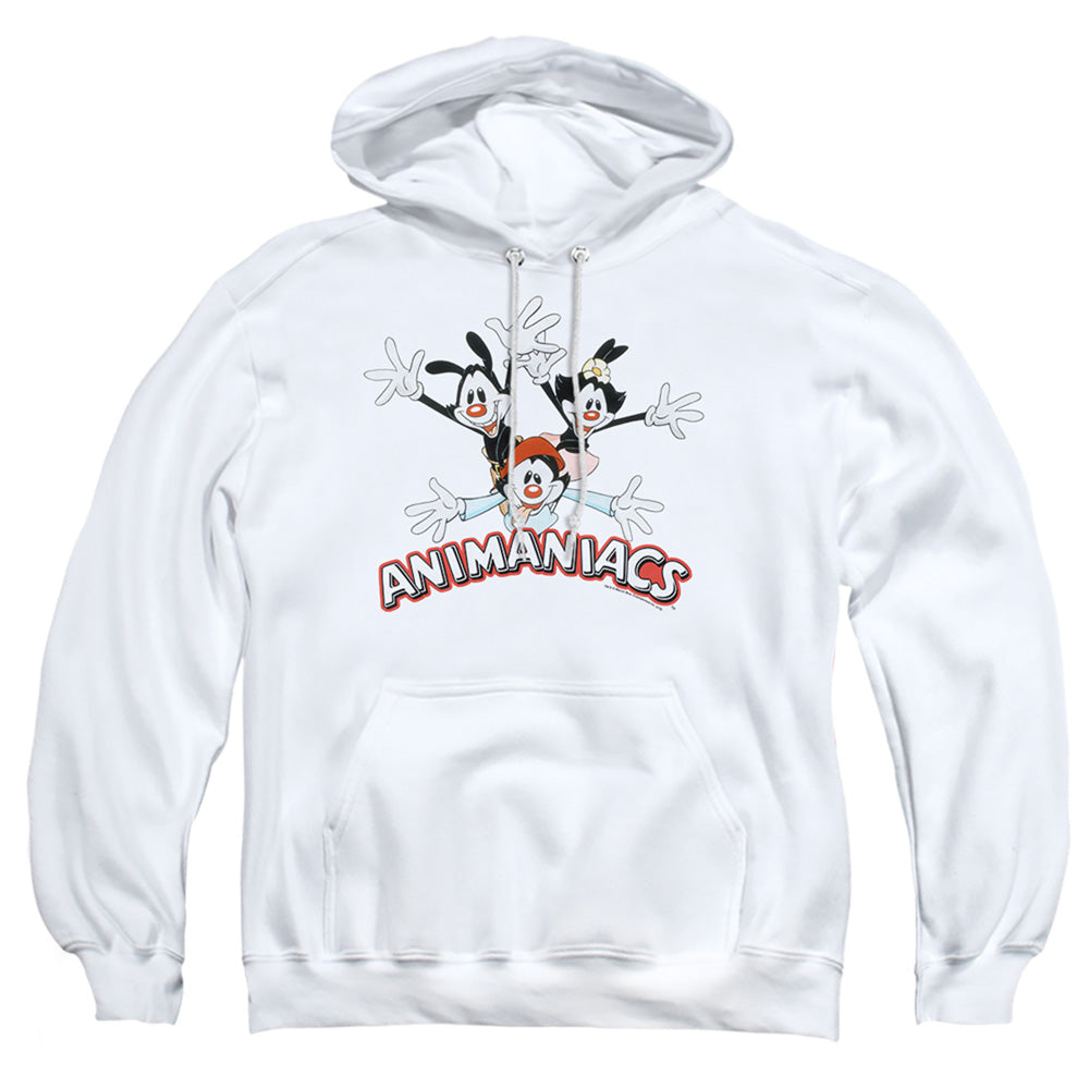Animaniacs Animaniacs Trio Hoodie – Rocker Merch