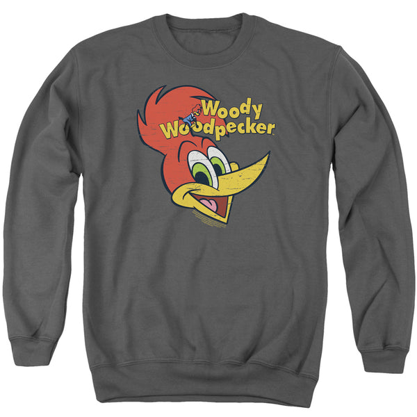 Woody Woodpecker Retro Logo Sweatshirt
